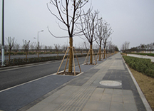 生態透水混凝土