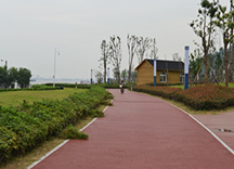 生態透水混凝土