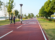 生態透水混凝土